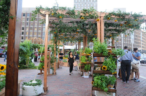 Pergola with flowers