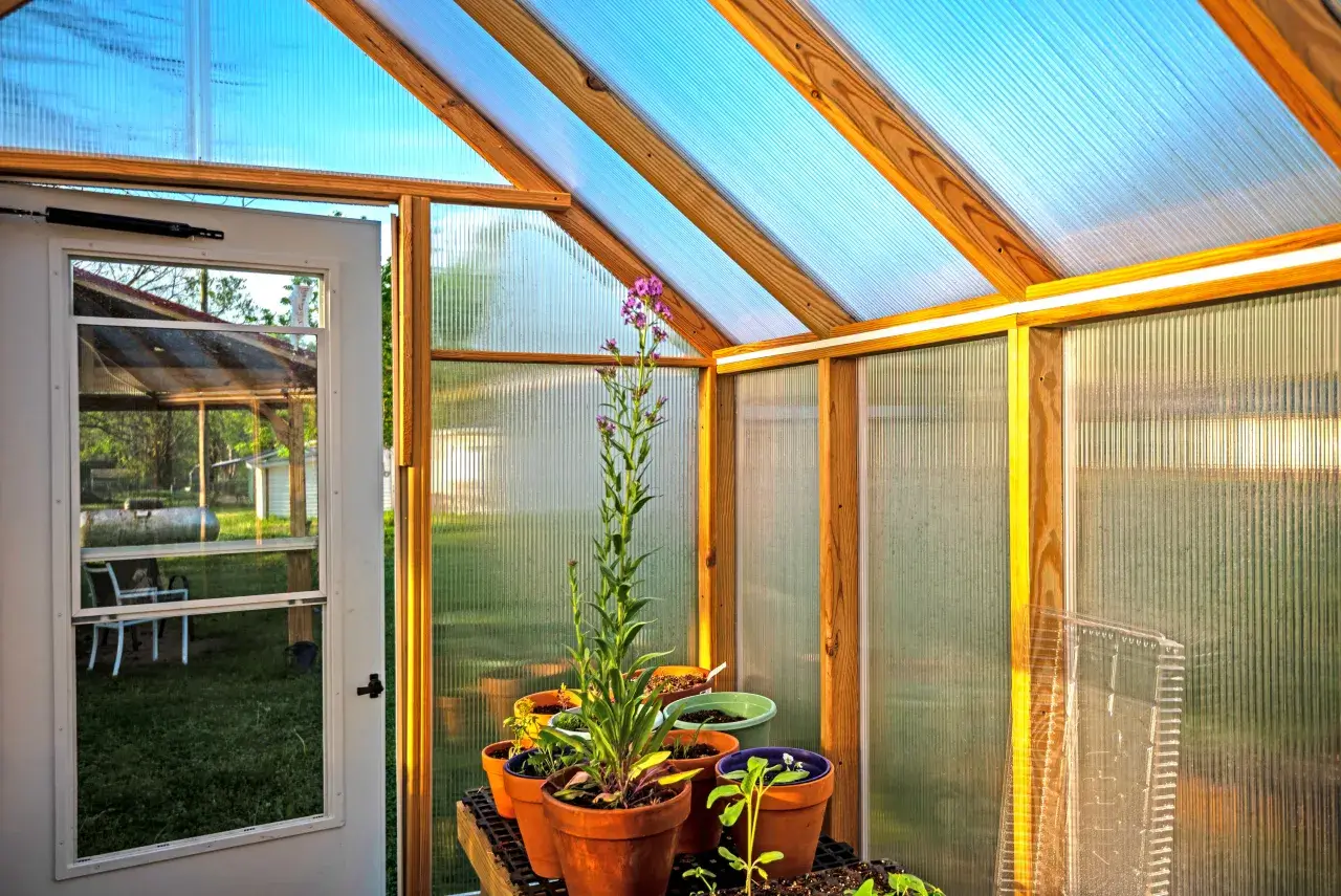 Plants inside Greenhouse